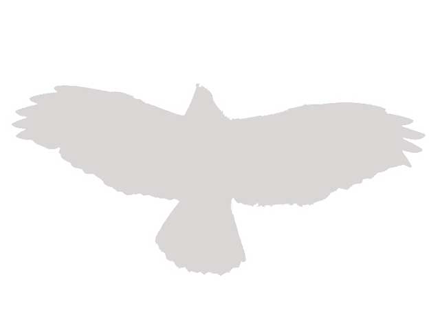 q5